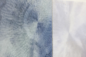 Meristem series, 2013