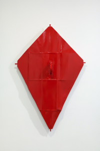Red Kite, 2013
