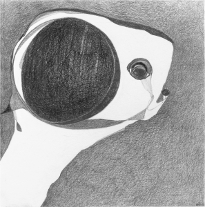 Extraordinary Powers of Hearing, 2015