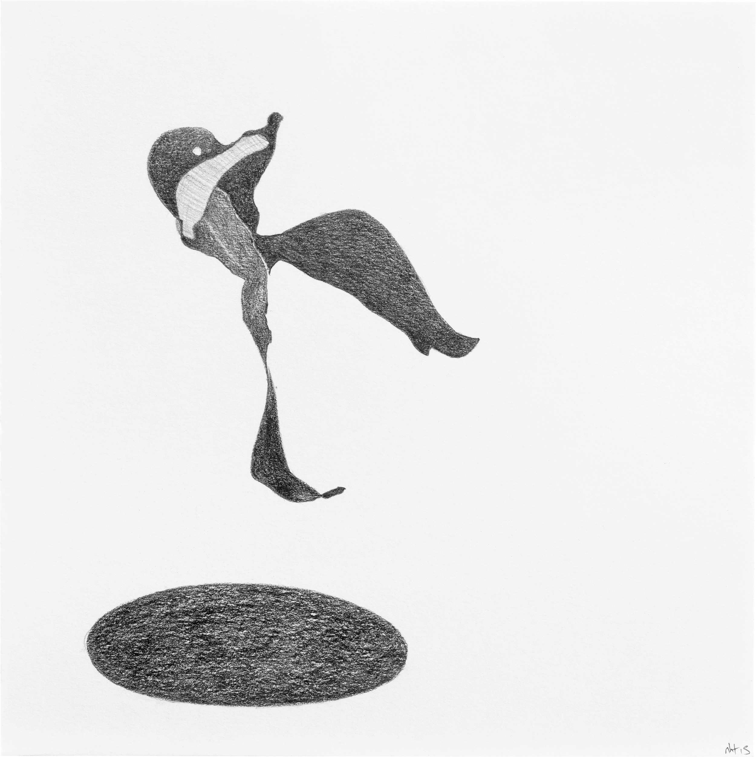 Nicola Tyson, Falling or floating, 2015