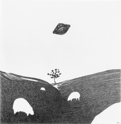 Grazing sheep and sky object, 2015