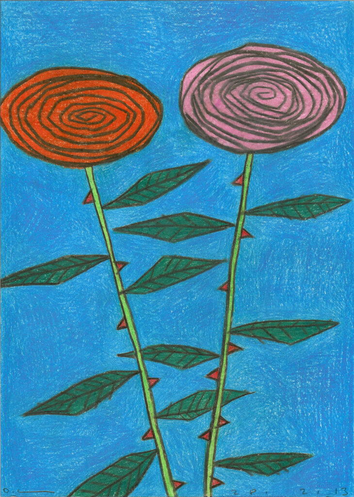 Orange and Pink Rose, 2013