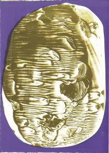 Untitled 2013