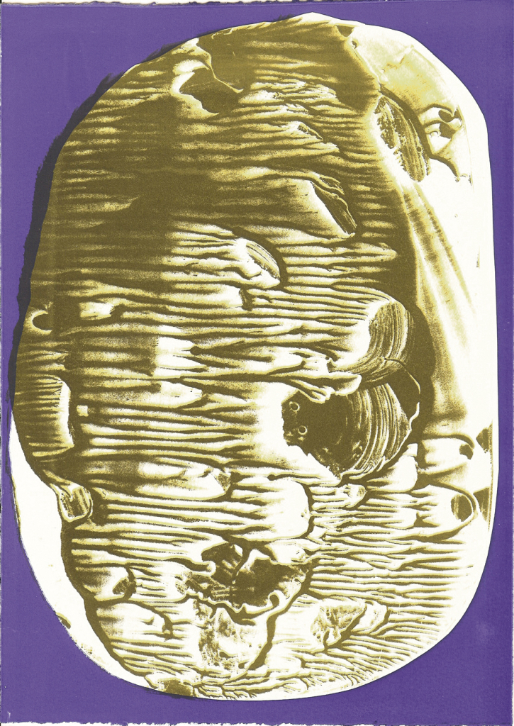 Untitled 2013